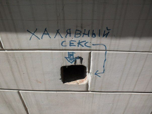 Прикольные фотографии (70 фото)