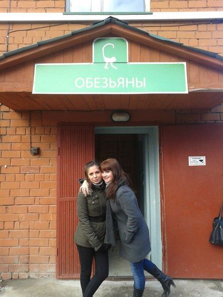 Прикольные фотографии (70 фото)