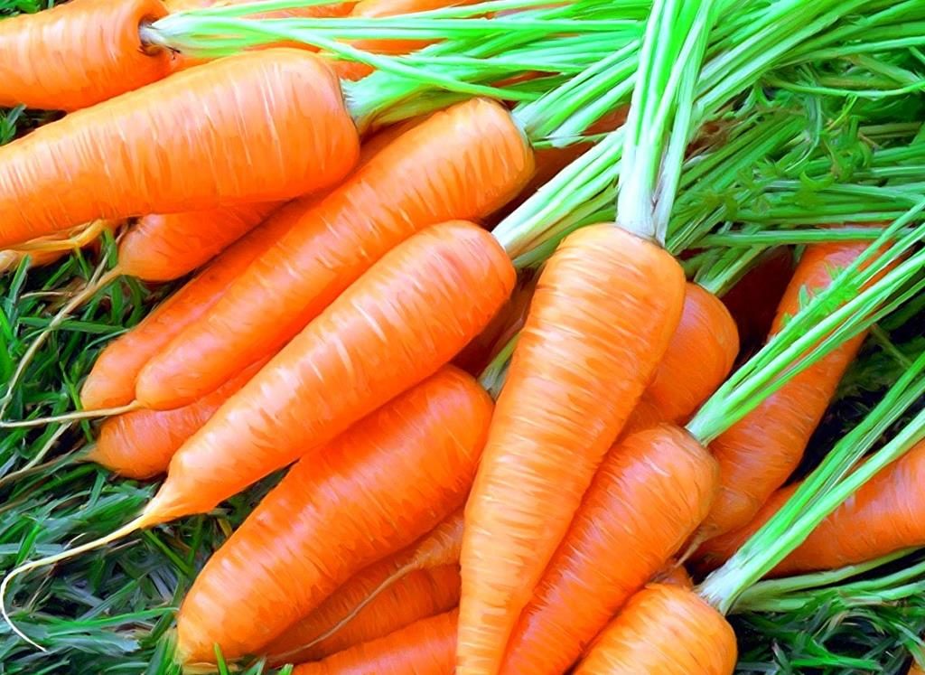 ТОП-10 продуктов для ума школьника ТОП-10 продуктов для ума школьника