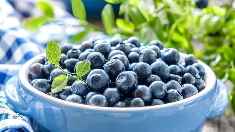 ТОП-10 продуктов для ума школьника ТОП-10 продуктов для ума школьника