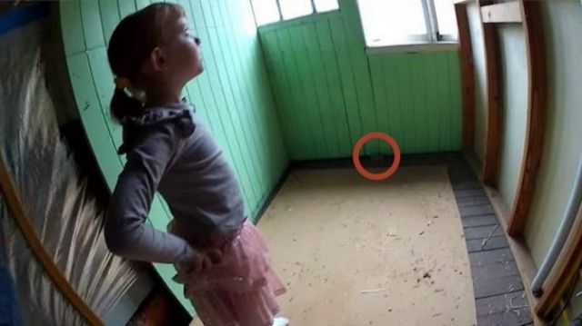Таинственная находка Таинственная находка