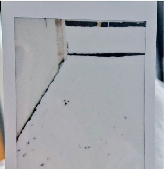 22 фотографии, которые заставят вас как следует присмотреться 22 фотографии, которые заставят вас как следует присмотреться