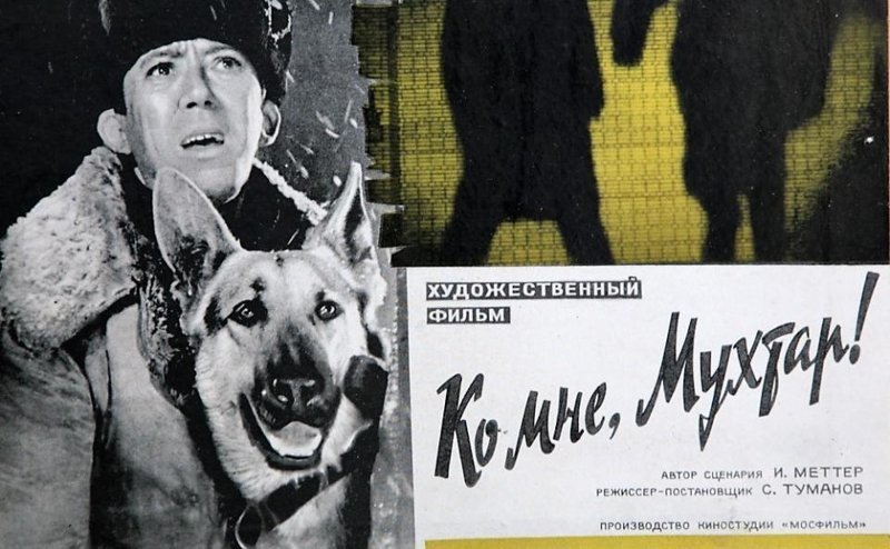 Как снимали фильм «Ко мне, Мухтар!» Как снимали фильм «Ко мне, Мухтар!»