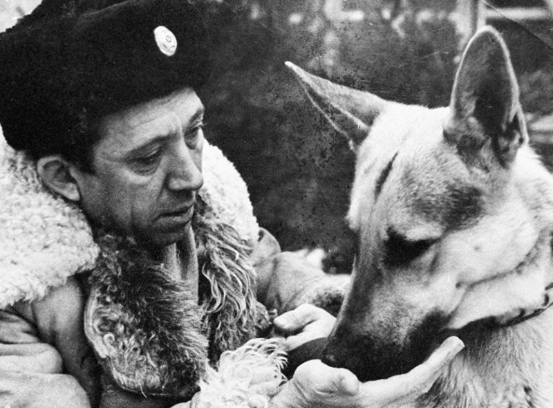 Как снимали фильм «Ко мне, Мухтар!» Как снимали фильм «Ко мне, Мухтар!»