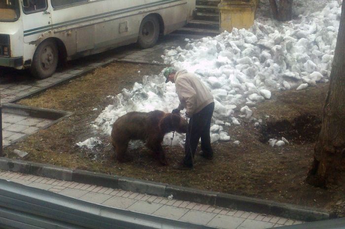 Обычное утро в России