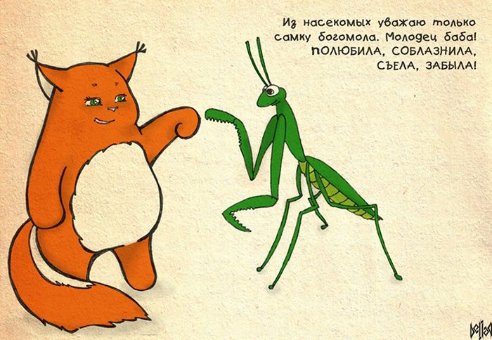 Девичья правда от Крошки Ши (31 картинка)
