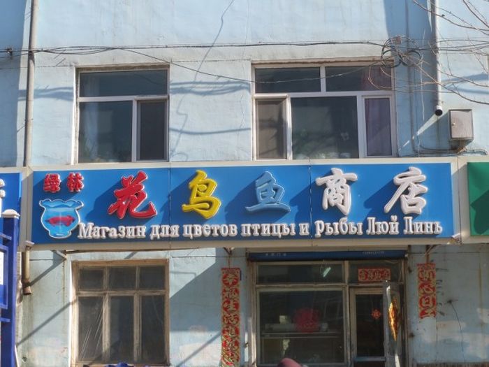 Трудности перевода с китайского языка (93 фото)