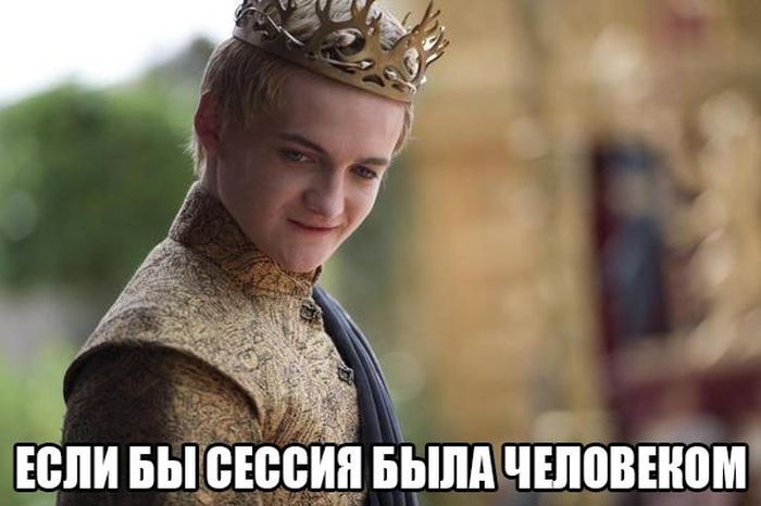 Порция картинок