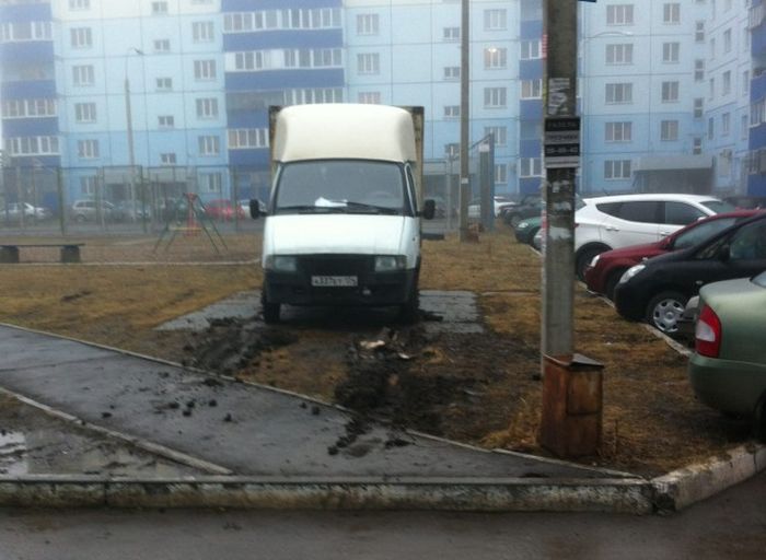 Порция картинок