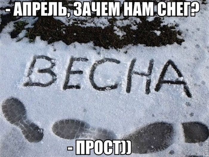 Порция картинок