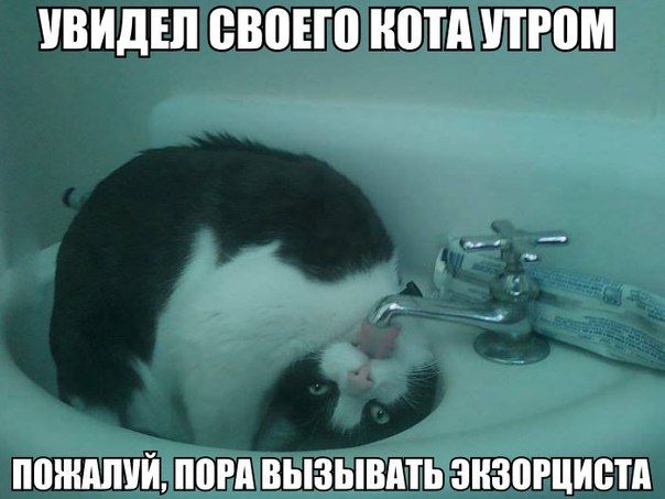 Прикольные картинки (86 фото)