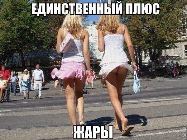 Прикольные картинки (86 фото)