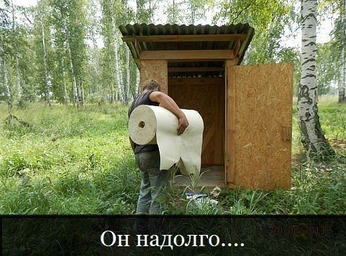 Прикольные картинки (86 фото)