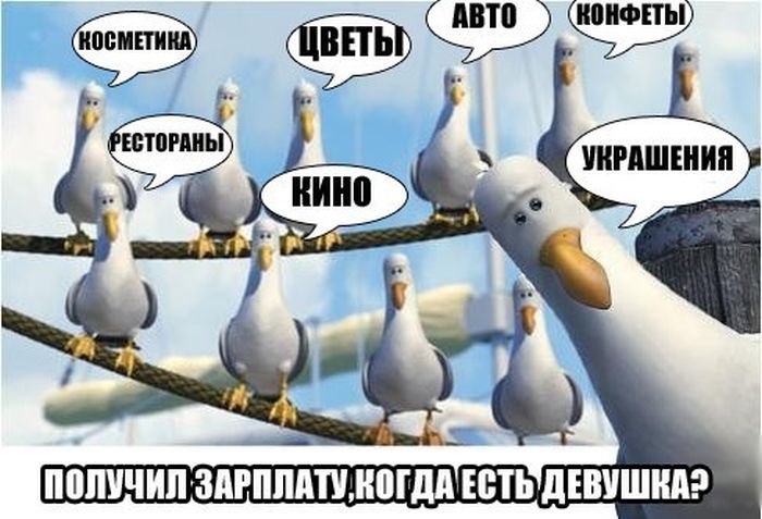 Порция картинок