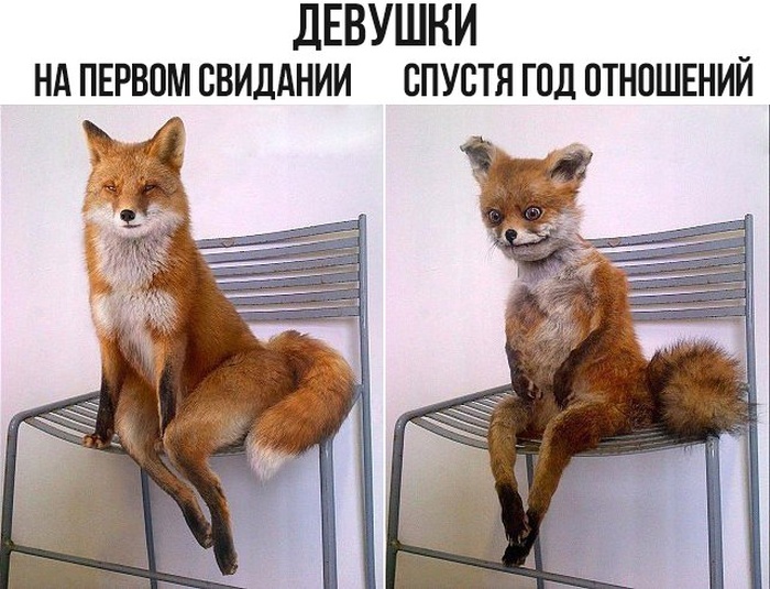 Картинки и приколы из социальных сетей