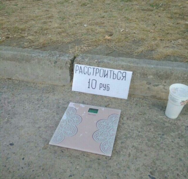Прикольные картинки