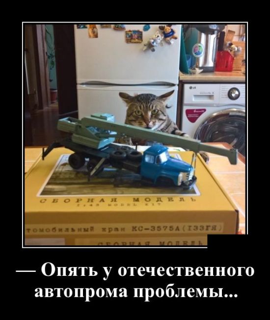 Демотиваторы