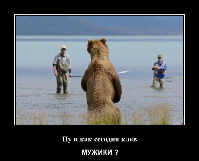 Демотиваторы