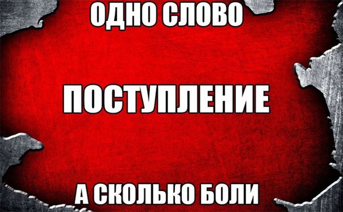 Порция картинок