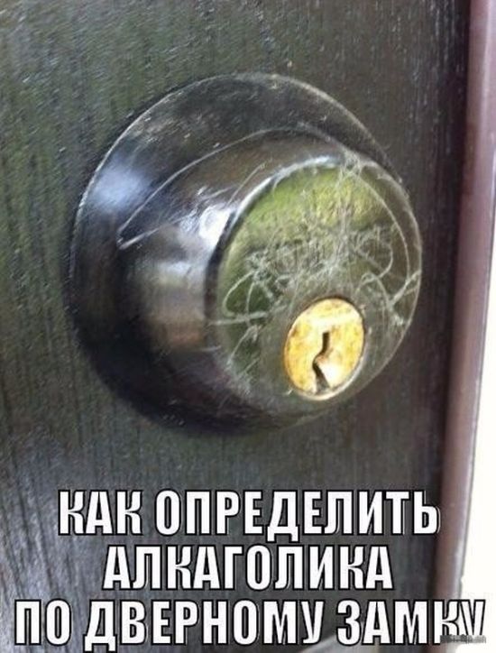 Порция картинок