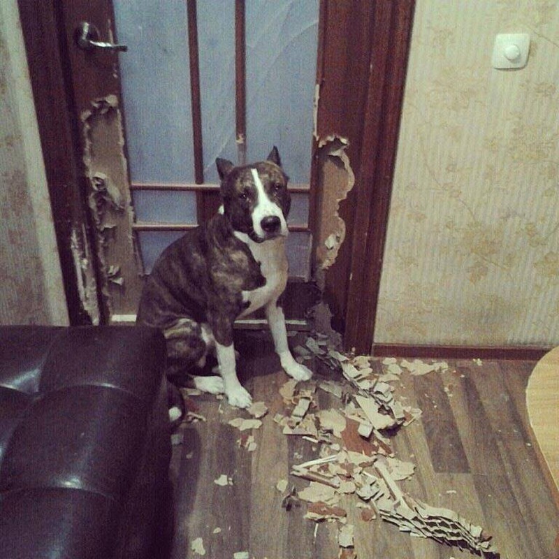 Дерьмо случается