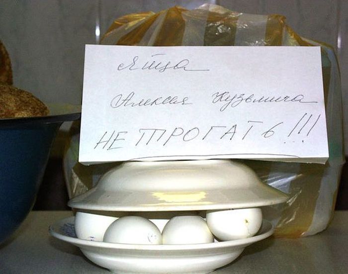 Веселая и беззаботная «общажная» жизнь