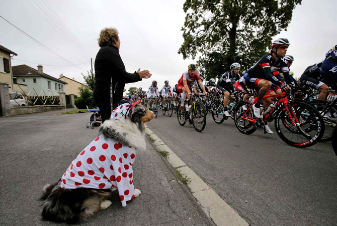 Самые яркие фотографии веломногодневки «Tour de France 2014» (21 фото)