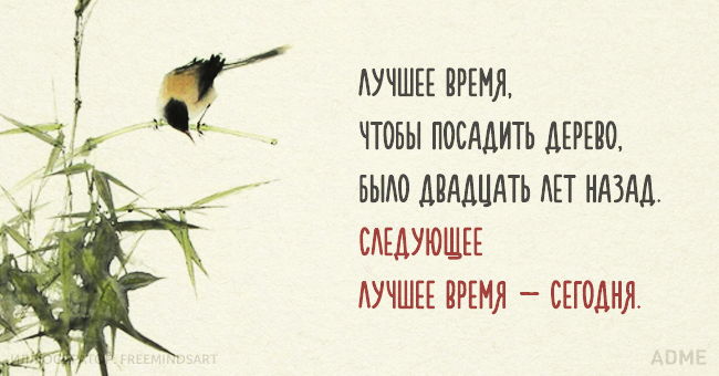 Китайской мудрости пост