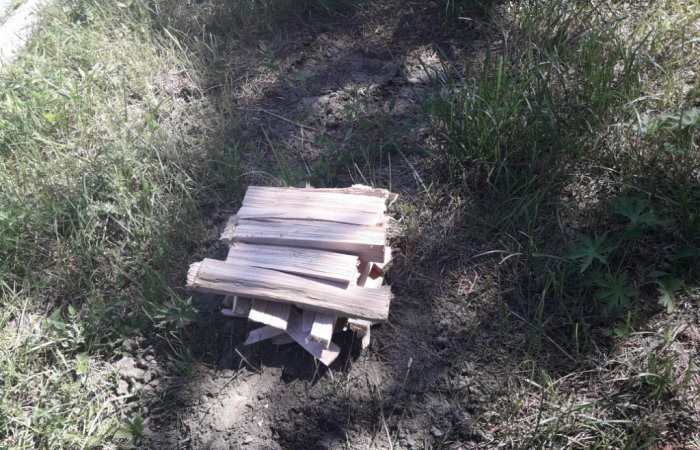Лучшее антикомариное средство своими руками Лучшее антикомариное средство своими руками
