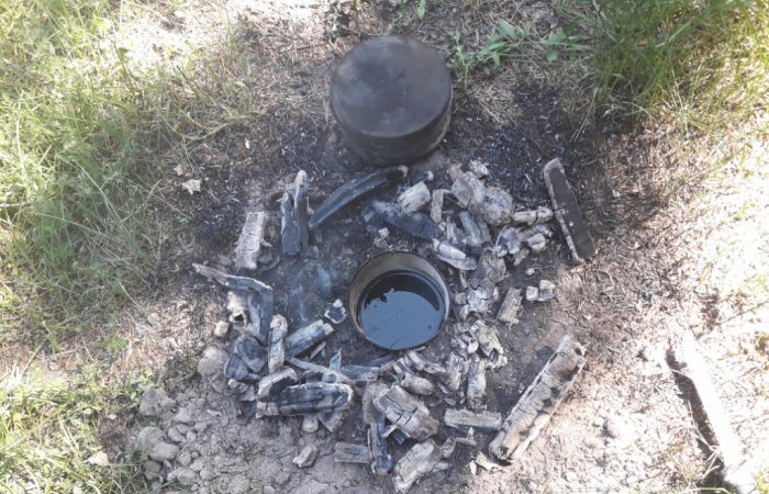 Лучшее антикомариное средство своими руками Лучшее антикомариное средство своими руками