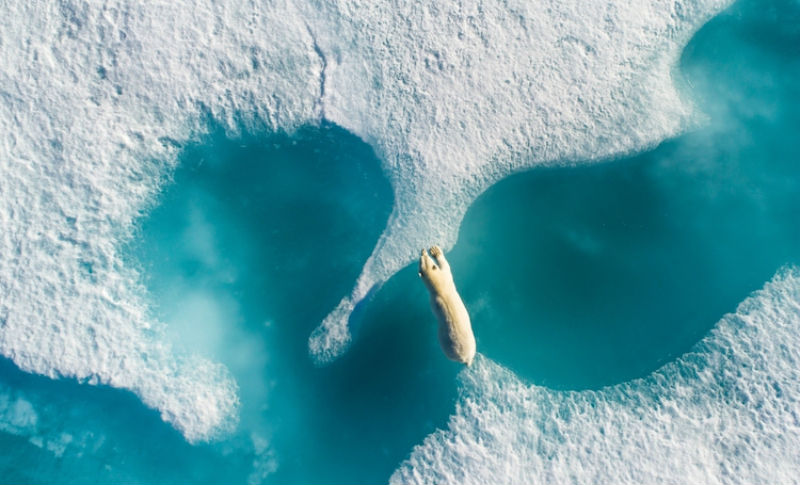 Лучшие фотографии, снятые дронами Лучшие фотографии, снятые дронами