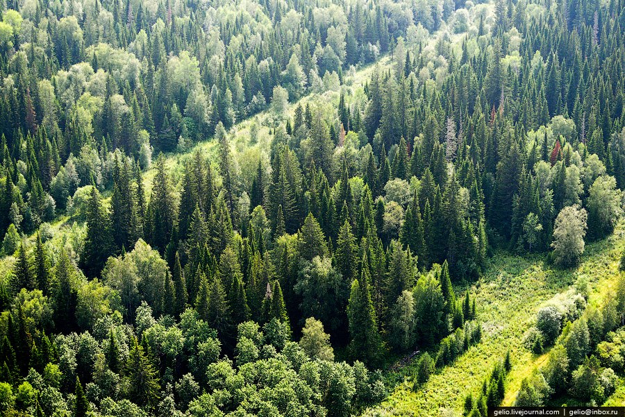 Красноярск с вертолета Красноярск с вертолета