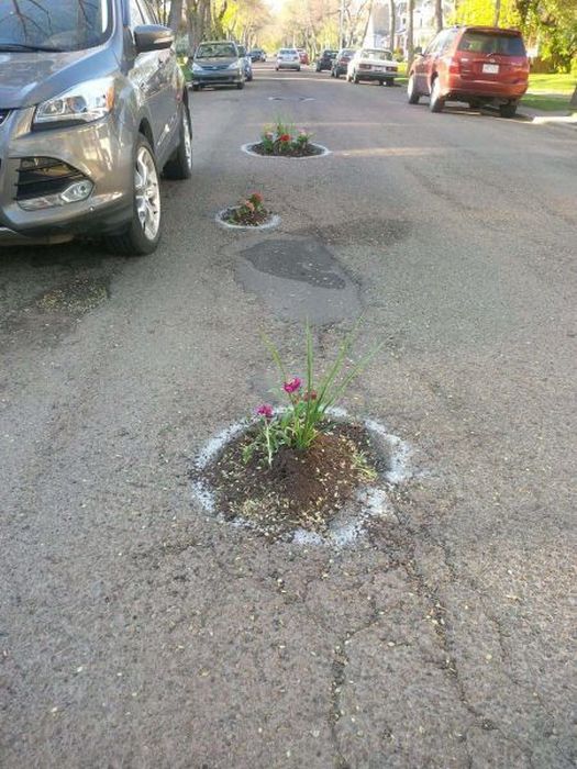 Отличные авто приколы