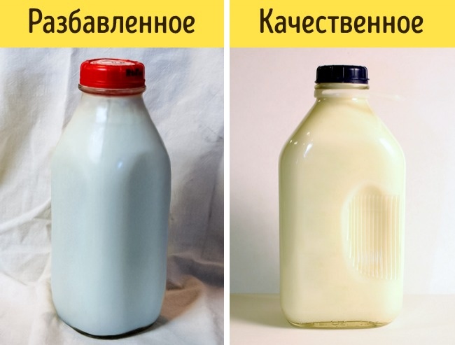 24 хитрости, которые спасут вас от покупки несвежих продуктов 24 хитрости, которые спасут вас от покупки несвежих продуктов