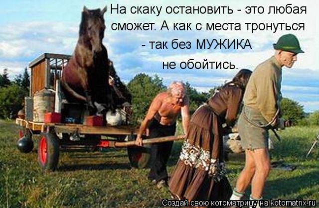 Лучшие котоматрицы недели
