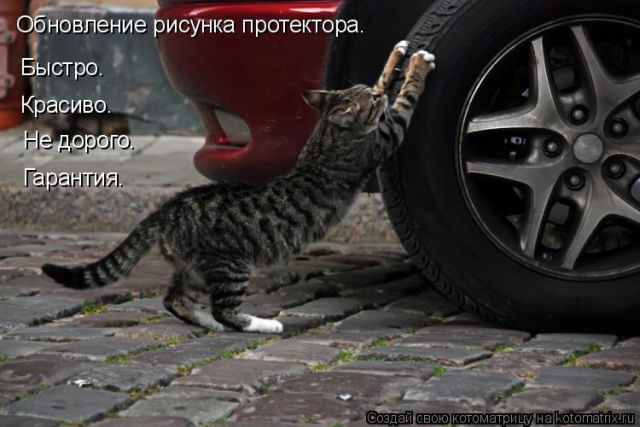 Лучшие котоматрицы недели