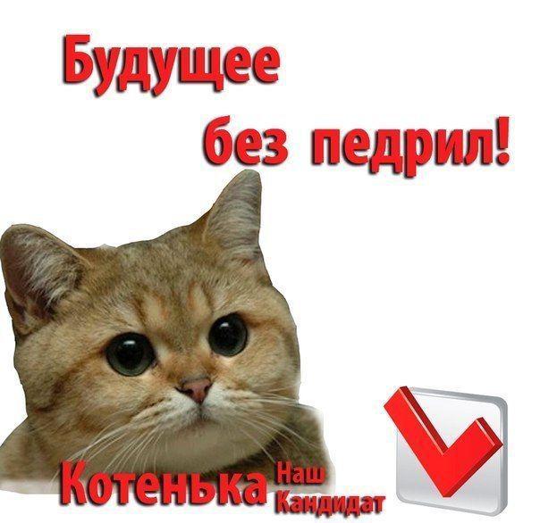 Прикольные картинки
