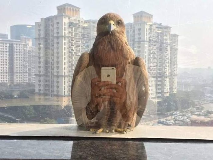 Забавные совпадения