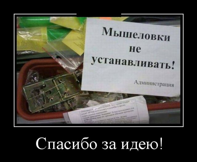 Демотиваторы