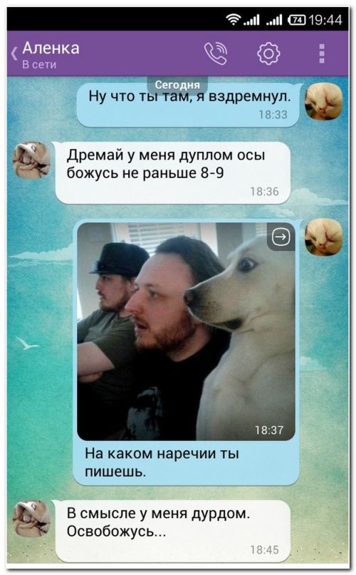 Прикольные картинки (82 фото)