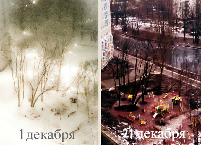 Прикольные картинки (82 фото)