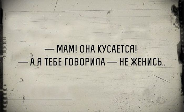 Прикольные картинки (82 фото)