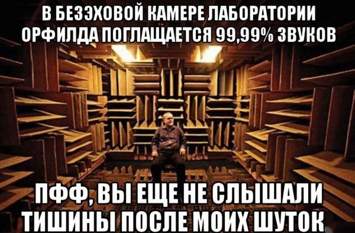Прикольные картинки (82 фото)