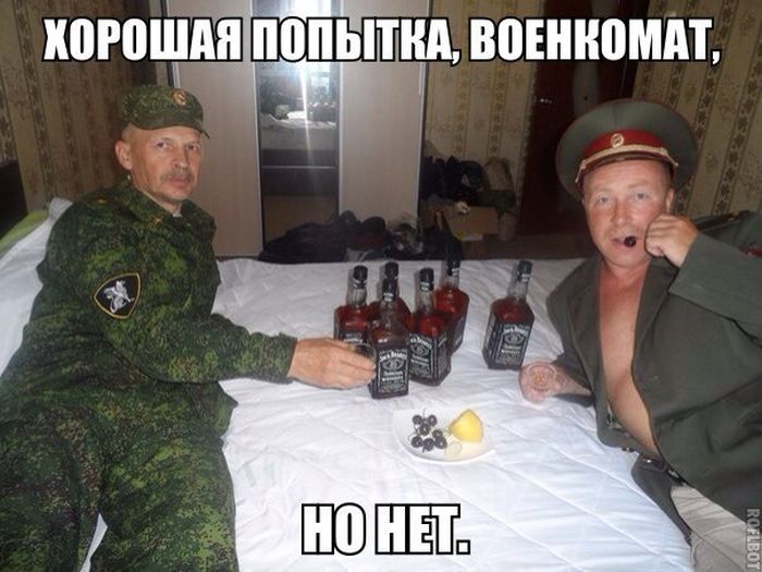 Прикольные картинки (82 фото)