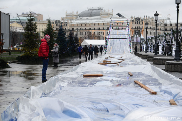 Последствия аномально теплой погоды в Москве Последствия аномально теплой погоды в Москве