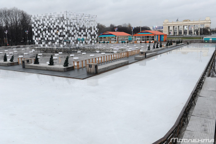 Последствия аномально теплой погоды в Москве Последствия аномально теплой погоды в Москве