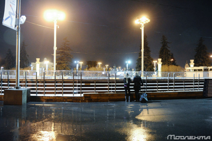 Последствия аномально теплой погоды в Москве Последствия аномально теплой погоды в Москве