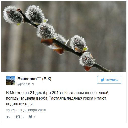 Последствия аномально теплой погоды в Москве Последствия аномально теплой погоды в Москве