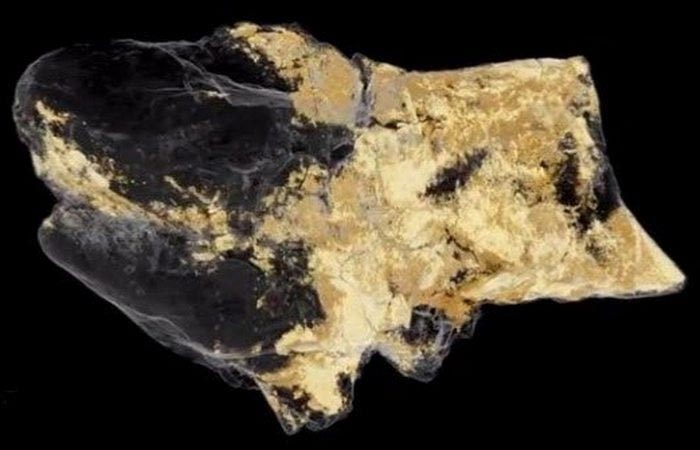 10 ценных исторических находок, которые показали миру совсем недавно 10 ценных исторических находок, которые показали миру совсем недавно
