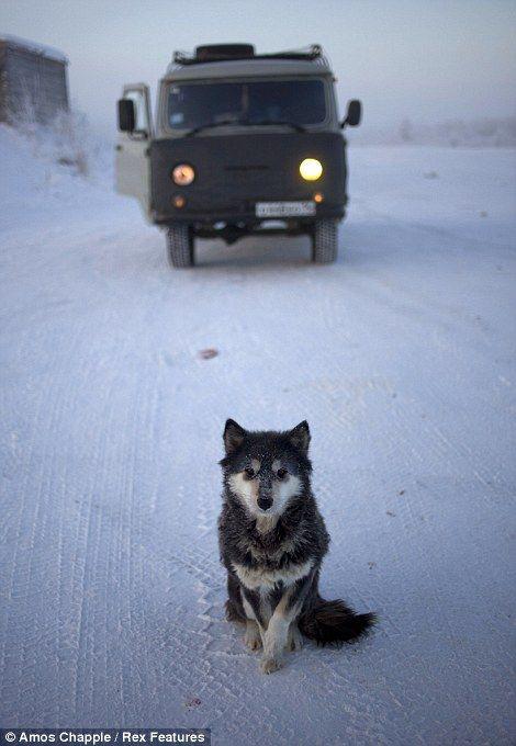 Оймякон - там где действительно холодно